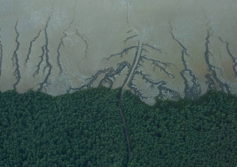 Ibama aprova plano para licenciamento da exploração na Bacia da Foz do Amazonas