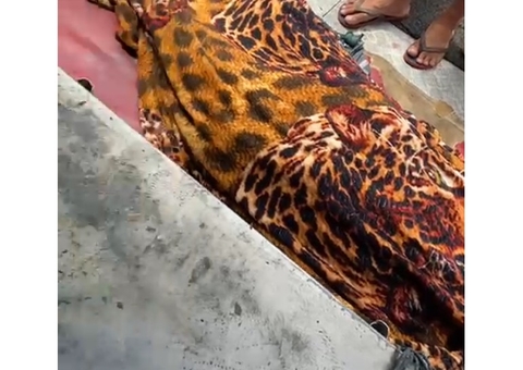 Homem morre durante explosão de draga do garimpo ilegal em Japurá