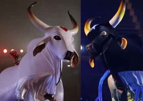 Hospedagem em Parintins chega a R$ 99 mil a 10 dias do Festival