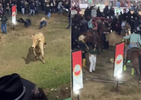 Touro em fuga gera tumulto e deixa feridos em rodeio de Passos; vídeo