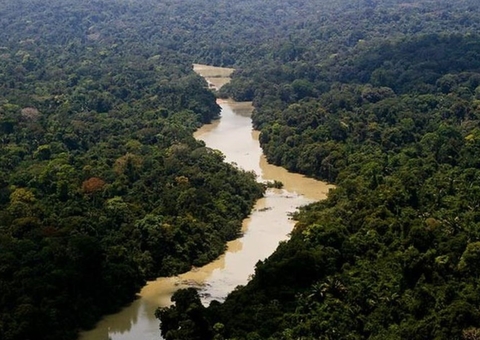 Livro sobre economia verde na Amazônia será lançado nesta quinta em Manaus
