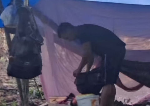 Homem morre ao ser atingido por árvore enquanto trabalhava em Manacapuru