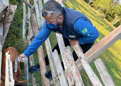 Prazo final para vacinação contra raiva no Amazonas vai até setembro