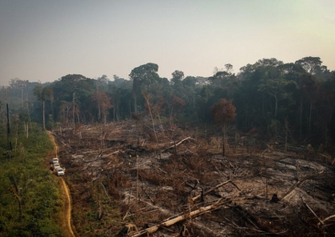 Homem que desmatou ilegalmente área em Apuí irá pagar quase R$ 2 milhões em indenizações