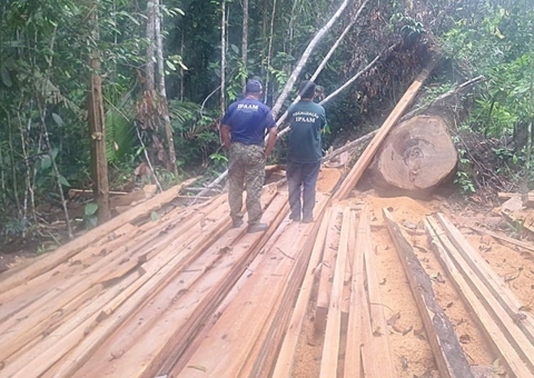 Ipaam aplica R$ 740 mil em multas por crimes ambientais próximos a Manaus