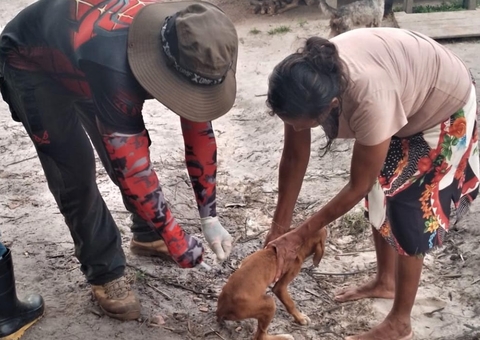 Cães e gatos são imunizados contra raiva na BR-174 e AM-010