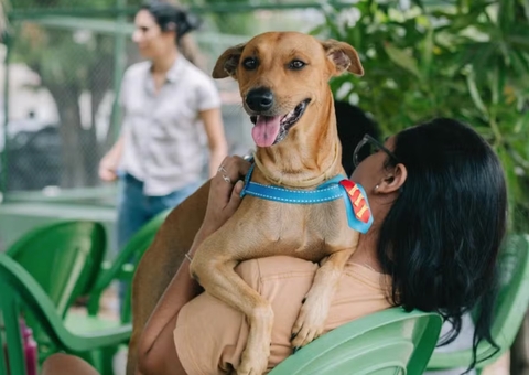 Governo sanciona lei que proíbe tatuagens e piercings estéticos em pets 