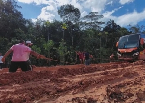 Fux leva ao STF recurso sobre omissão da União na pavimentação da BR-319