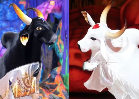 Pesquisa em Manaus indica empate técnico entre torcidas de Caprichoso e Garantido