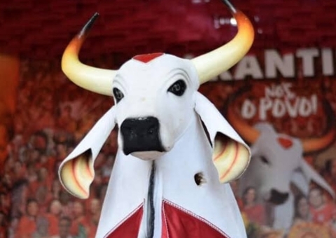 Garantido revela detalhes da primeira noite no Bumbódromo; confira