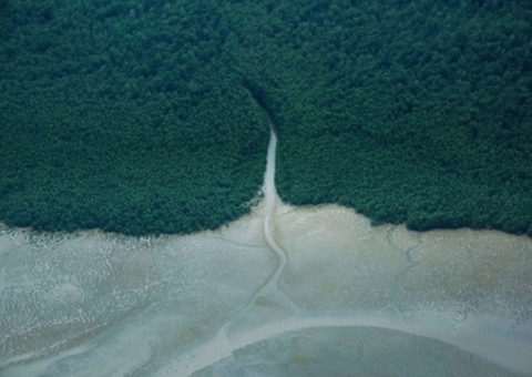 Justiça nega pedido do MPF e libera simulado da Petrobras na Foz do Amazonas