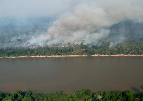 Acusados de desmatar área protegida no Amazonas têm R$ 49 milhões bloqueados