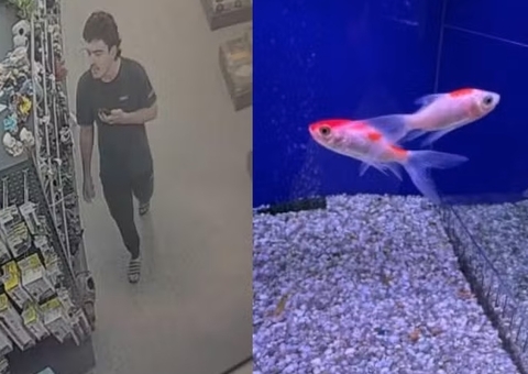 Homem é denunciado após comer peixe vivo e homenagear Trump em pet shop
