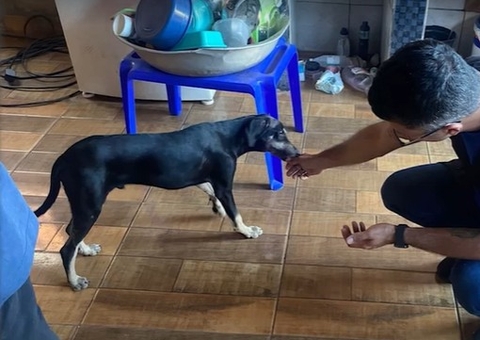 Cachorro é acorrentado e agredido por tutor no Pará