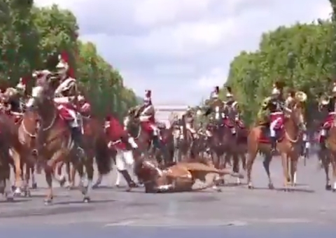 Cavalo cai e soldado se fere em desfile do Dia da Bastilha na França; vídeo