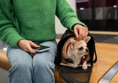 Justiça condena TAM a pagar R$ 3 mil por impedir embarque de pet em Manaus