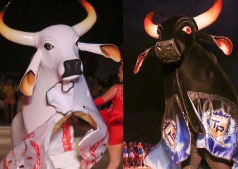 Manaus recebe pela 1ª vez lançamento oficial do Festival dos Touros de Barreirinha