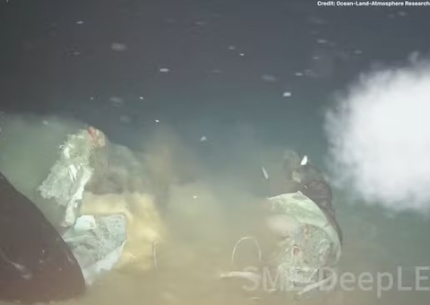 Vaca é lançada no fundo do mar para simular naufrágio