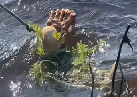 Perna de homem desaparecido é encontrada boiando no rio em Coari