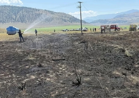 Peixe cai do céu, causa fogo em vegetação e deixa pessoas sem luz no Canadá