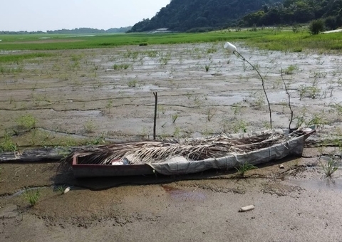 Amazonas prevê estiagem moderada após dois anos de seca severa