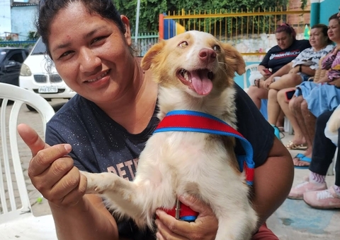 Manaus oferece 320 vagas gratuitas para castração de cães e gatos na Zona Norte
