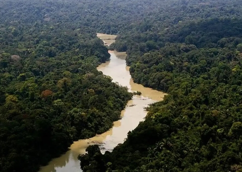 Governo Federal investe R$ 210 milhões em projetos sustentáveis na Amazônia
