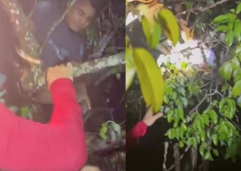 Dois homens são salvos presos em galhos após barco virar no Amazonas; vídeo