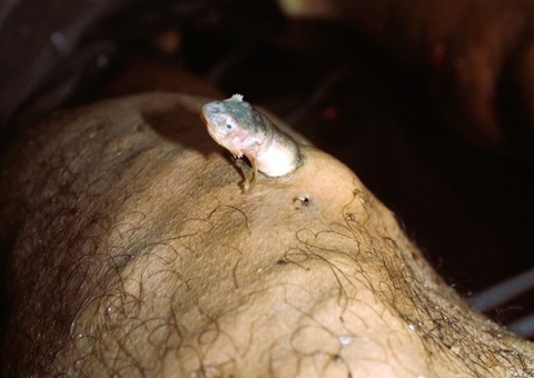 Concurso FotoForense abre inscrições para peritos e jornalistas no Amazonas