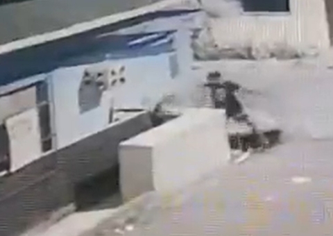 Vídeo mostra foragido da polícia esfaqueando cadela grávida em Manaus