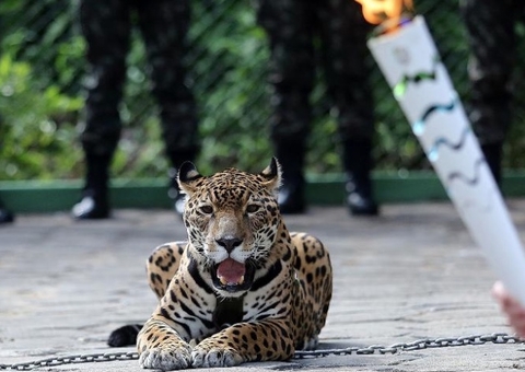 Zoológico do CIGS terá entrada gratuita neste domingo em Manaus