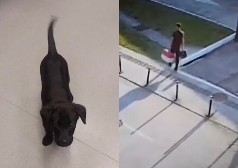 Tutor abandona cadela no estacionamento de aeroporto após animal ser barrado em voo