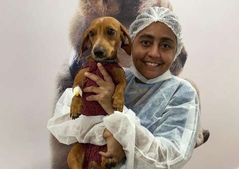 Especialista alerta sobre prevenção do câncer em cães no Dia Mundial do Cachorro