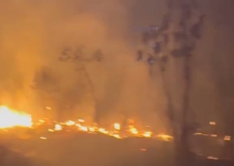 Incêndio devasta área de mata na BR-319 e assusta moradores em Humaitá