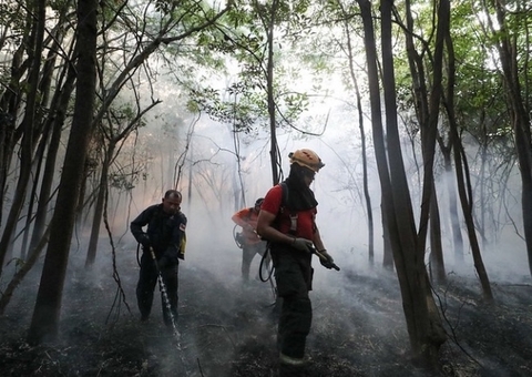 Nove cidades do Amazonas vão receber apoio federal contra desmatamento