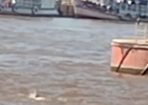 Vídeo mostra homem que se jogou em rio após discussão no Amazonas