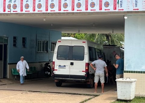 Enxame de abelhas invade ônibus escolar em Iranduba e deixa crianças desacordadas