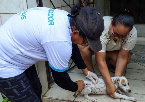 Manaus divulga lista de pré-aprovados para campanha de vacinação antirrábica