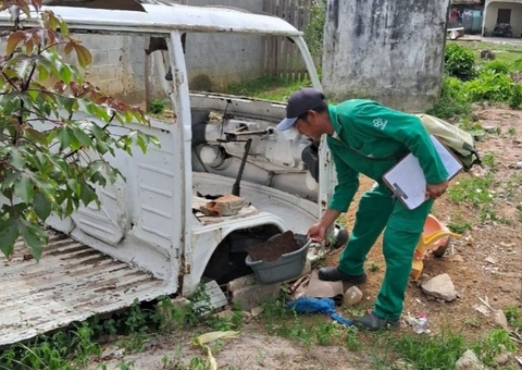Amazonas chega a 3,7 mil casos confirmados de dengue