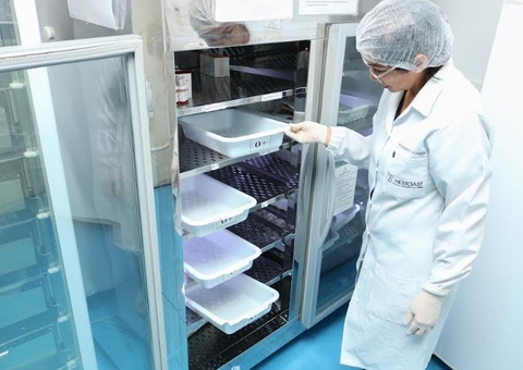 Com baixo estoque de sangue, Hemoam convoca doadores no feriado