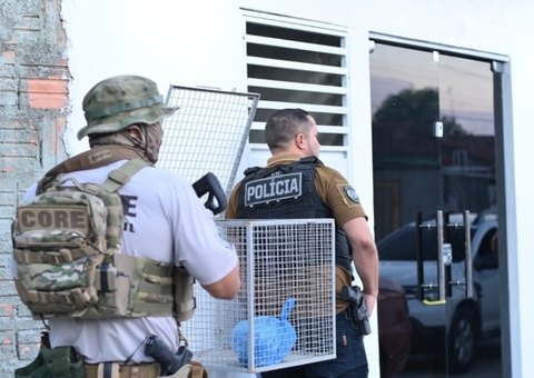 Segurança com inteligência impõe derrota ao crime no Amazonas