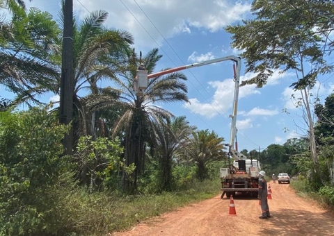 MPF cobra poda de árvores para evitar apagões na Zona Rural de Manaus