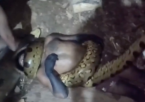 Vídeo de homem sendo "abraçado" por sucuri viraliza; veja 