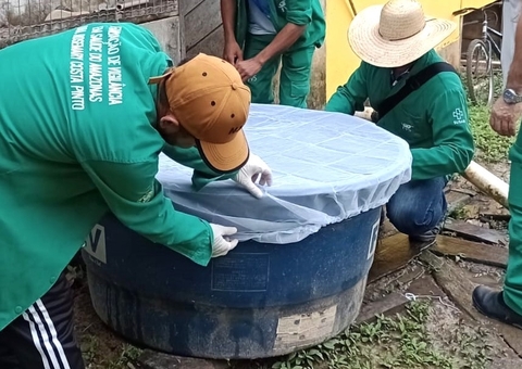Chuvas elevam risco de arboviroses no Amazonas; veja como prevenir