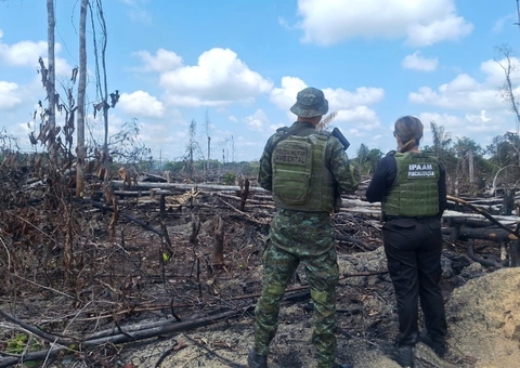 Ipaam aplica mais de R$ 90 mil em multas por crimes ambientais no Amazonas