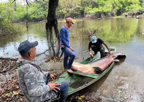Ministério da Pesca cancela quase mil licenças de pescadores no Amazonas
