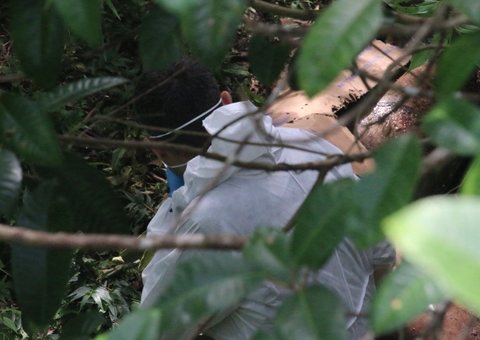 Mulher é encontrada morta e sem roupas em área de mata na Ponta Negra