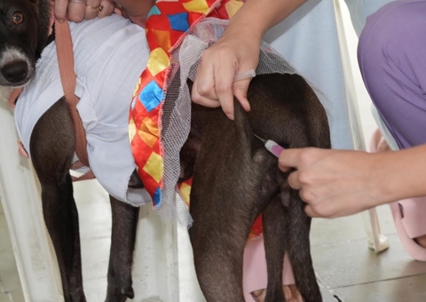 Semsa realiza mutirão de saúde animal no Nova Cidade sábado