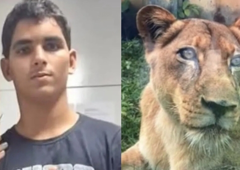 Mordida no pescoço causou morte de jovem atacado por leoa, diz IML
