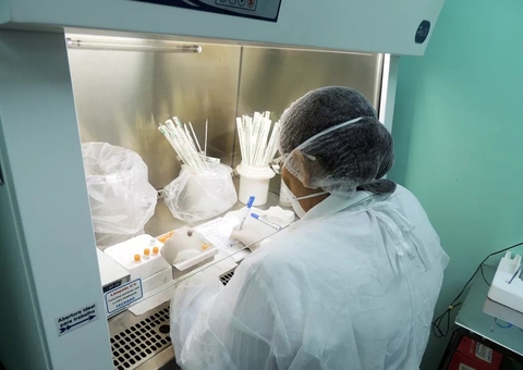 Gatos respondem por quase 98% dos casos de Esporotricose confirmados no Amazonas